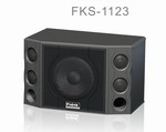 Vw_푌I޹˾:FKS-1123